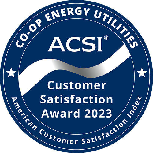 ACSI Badge