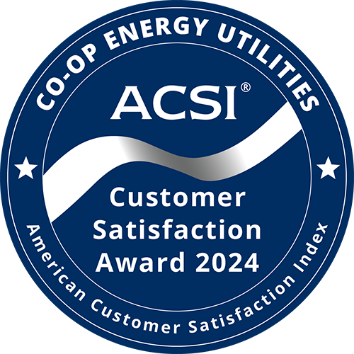 ACSI Badge
