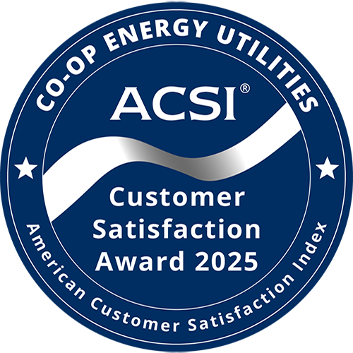 ACSI Badge