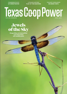 Magazine Cover