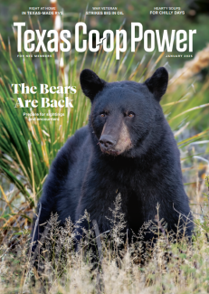 Magazine Cover