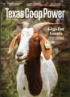 Magazine Cover