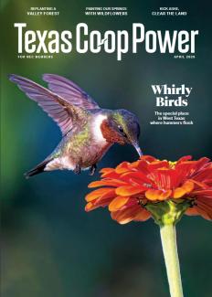 Magazine Cover