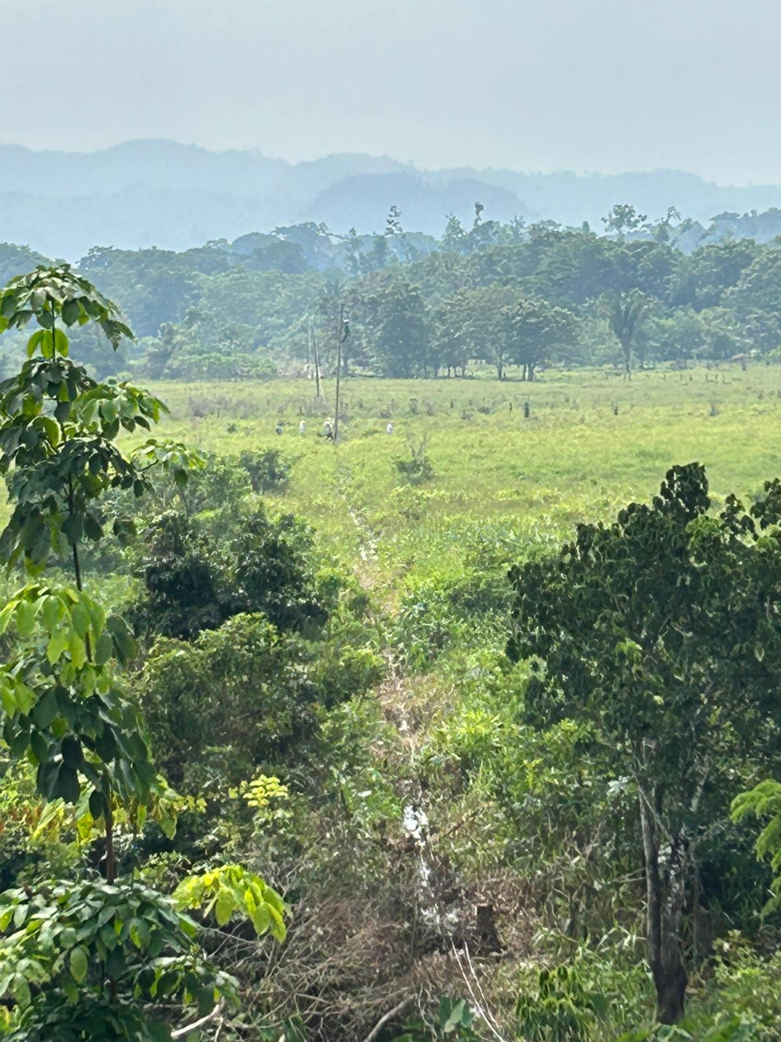 land